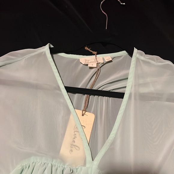 Anthropologie Let Me Be Sheer Babydoll Blouse (size M) (color Mint) - Picture 5 of 8